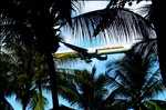 Singapore Airlines coming in for a tropical landing